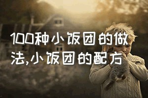 100种小饭团的做法（小饭团的配方）