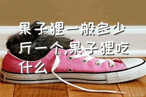 果子狸一般多少斤一个（果子狸吃什么）