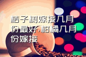 桔子树嫁接几月份最好（柑橘几月份嫁接）