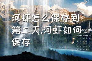 河虾怎么保存到第二天（河虾如何保存）