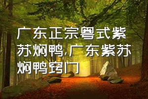 广东正宗粤式紫苏焖鸭（广东紫苏焖鸭窍门）