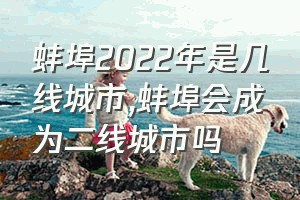 蚌埠2022年是几线城市（蚌埠会成为二线城市吗）