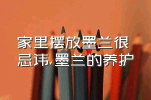 家里摆放墨兰很忌讳（墨兰的养护）