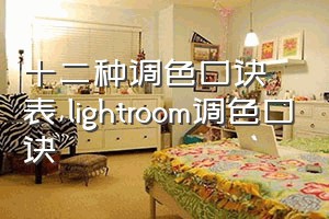 十二种调色口诀表（lightroom调色口诀）