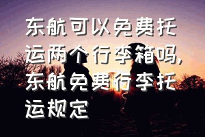 东航可以免费托运两个行李箱吗（东航免费行李托运规定）