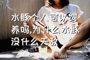 水豚个人可以饲养吗（为什么水豚没什么天敌）