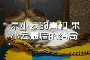 果小云的真相（果小云最后的结局）