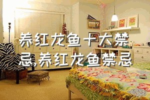 养红龙鱼十大禁忌（养红龙鱼禁忌）