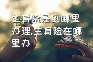 生育险是到哪里办理（生育险在哪里办）