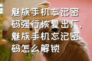 魅族手机忘记密码强行恢复出厂（魅族手机忘记密码怎么解锁）