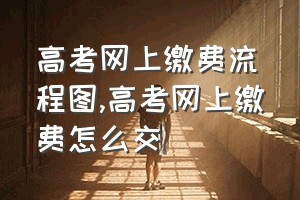 高考网上缴费流程图（高考网上缴费怎么交）