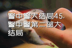 警中警大结局45（警中警第二部大结局）