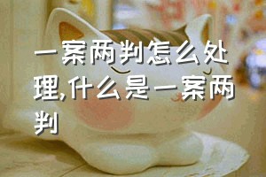 一案两判怎么处理（什么是一案两判）