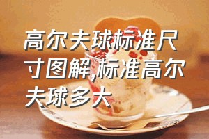 高尔夫球标准尺寸图解（标准高尔夫球多大）