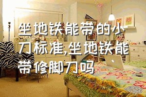 坐地铁能带的小刀标准（坐地铁能带修脚刀吗）