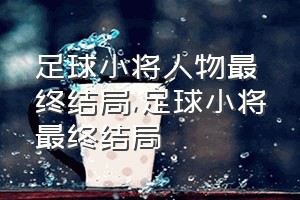 足球小将人物最终结局（足球小将最终结局）