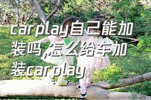 carplay自己能加装吗（怎么给车加装carplay）