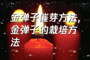 金弹子催芽方法（金弹子的栽培方法）