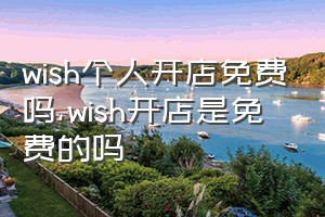 wish个人开店免费吗（wish开店是免费的吗）