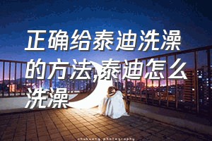 正确给泰迪洗澡的方法（泰迪怎么洗澡）