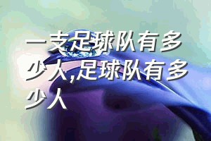 一支足球队有多少人（足球队有多少人）