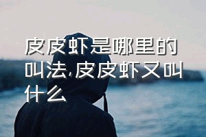 皮皮虾是哪里的叫法（皮皮虾又叫什么）