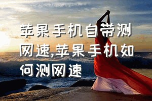 苹果手机自带测网速（苹果手机如何测网速）