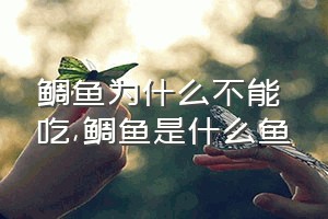 鲷鱼为什么不能吃（鲷鱼是什么鱼）