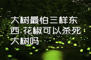 大树最怕三样东西（花椒可以杀死大树吗）