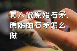 真人做原始石矛（原始的石矛怎么做）