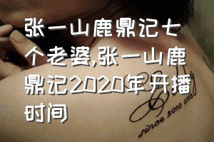 张一山鹿鼎记七个老婆（张一山鹿鼎记2020年开播时间）