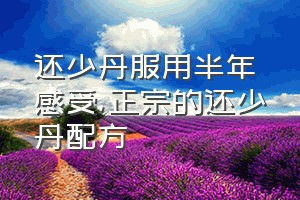 还少丹服用半年感受（正宗的还少丹配方）