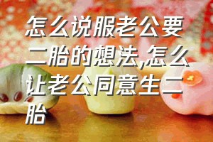 怎么说服老公要二胎的想法（怎么让老公同意生二胎）