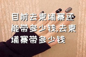 目前去柬埔寨还能带多少钱（去柬埔寨带多少钱）