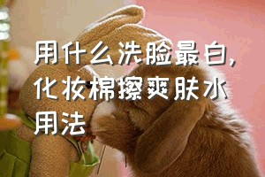 用什么洗脸最白（化妆棉擦爽肤水用法）