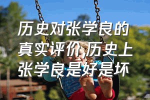 历史对张学良的真实评价（历史上张学良是好是坏）