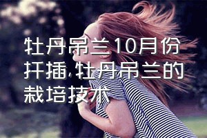 牡丹吊兰10月份扦插（牡丹吊兰的栽培技术）