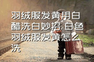 羽绒服发黄用白醋洗白妙招（白色羽绒服发黄怎么洗）