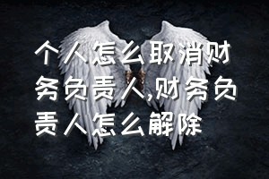 个人怎么取消财务负责人（财务负责人怎么解除）