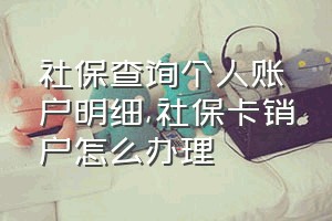 社保查询个人账户明细（社保卡销户怎么办理）