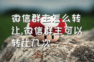 微信群主怎么转让（微信群主可以转让几次）