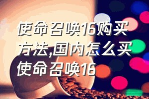 使命召唤16购买方法（国内怎么买使命召唤16）