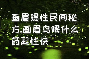 画眉提性民间秘方（画眉鸟喂什么药起性快）