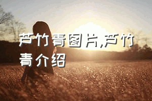 芦竹青图片（芦竹青介绍）