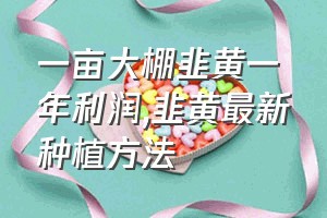 一亩大棚韭黄一年利润（韭黄最新种植方法）