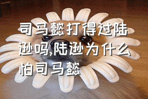 司马懿打得过陆逊吗（陆逊为什么怕司马懿）