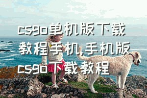 csgo单机版下载教程手机（手机版csgo下载教程）