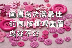 画眉鸟洗澡最佳时间（核桃喂画眉鸟好不好）