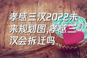 孝感三汊2022未来规划图（孝感三汊会拆迁吗）