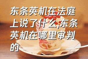 东条英机在法庭上说了什么（东条英机在哪里审判的）